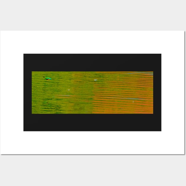 STEALTH COLOUR FLIGHT PATH Wall Art by dumbodancer